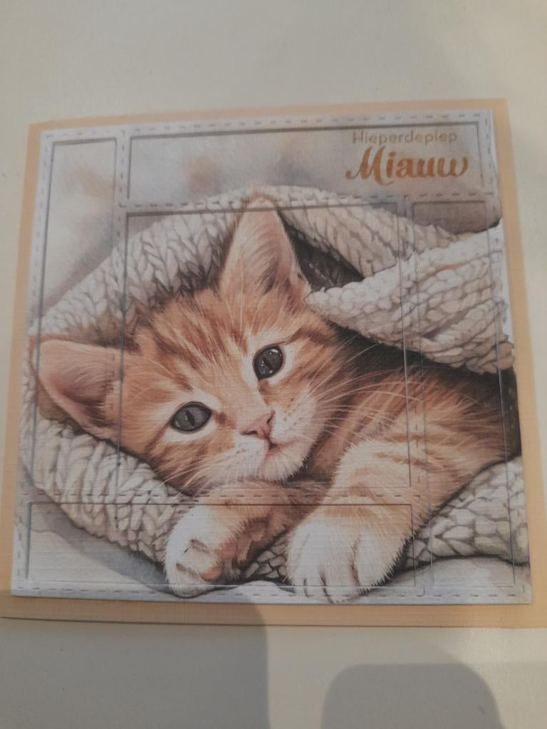 Zelfgemaakte kaart, Ophalen of Verzenden