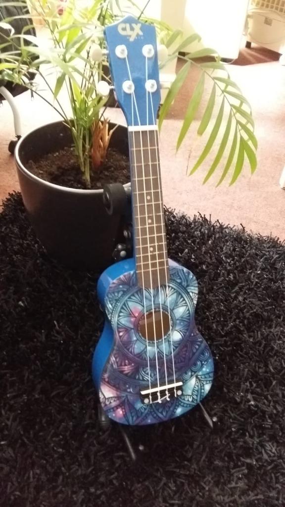 Grote Collectie CLX Ukelele keuze | Muziek Center Roosendaal, Ophalen of Verzenden, Nieuw, Ukelele