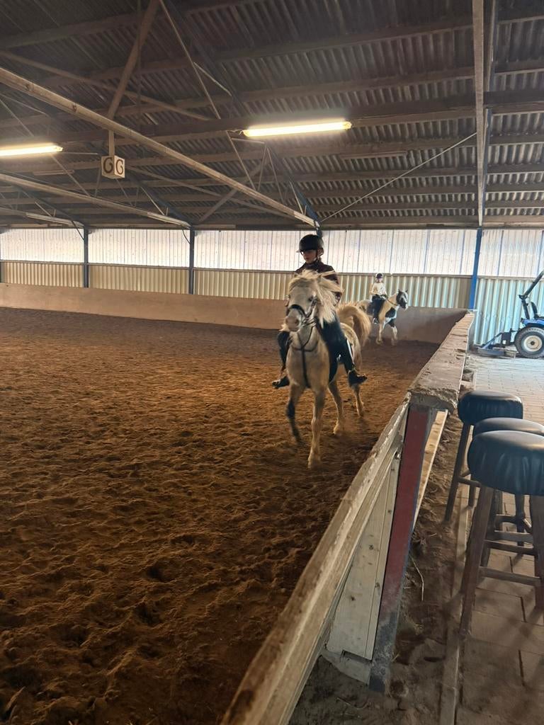 Super gemotiveerd ruiter zoekt verzorg pony, Ophalen of Verzenden