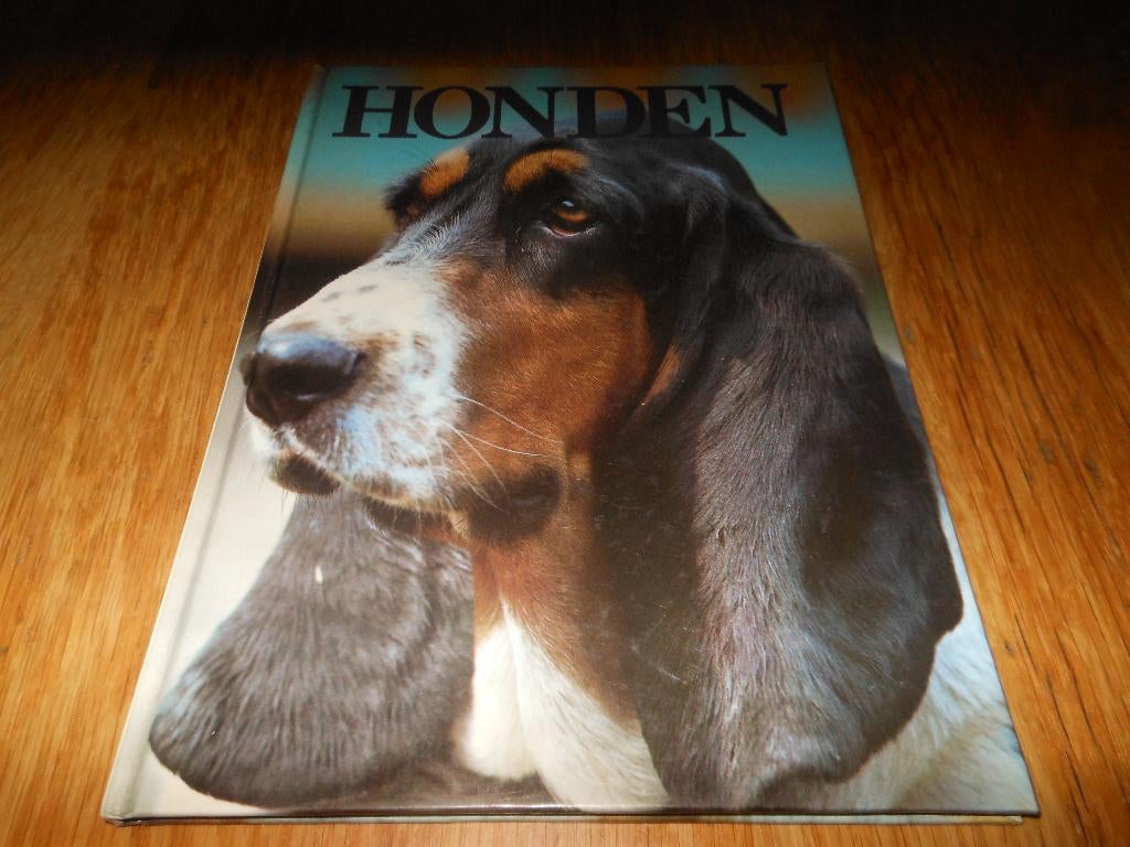 Honden, Ophalen of Verzenden, Zo goed als nieuw, Honden