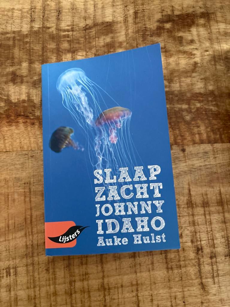 Slaap Zacht Johnny Idaho - Auke Hulst, Boeken, Ophalen of Verzenden, Zo goed als nieuw, Nederland