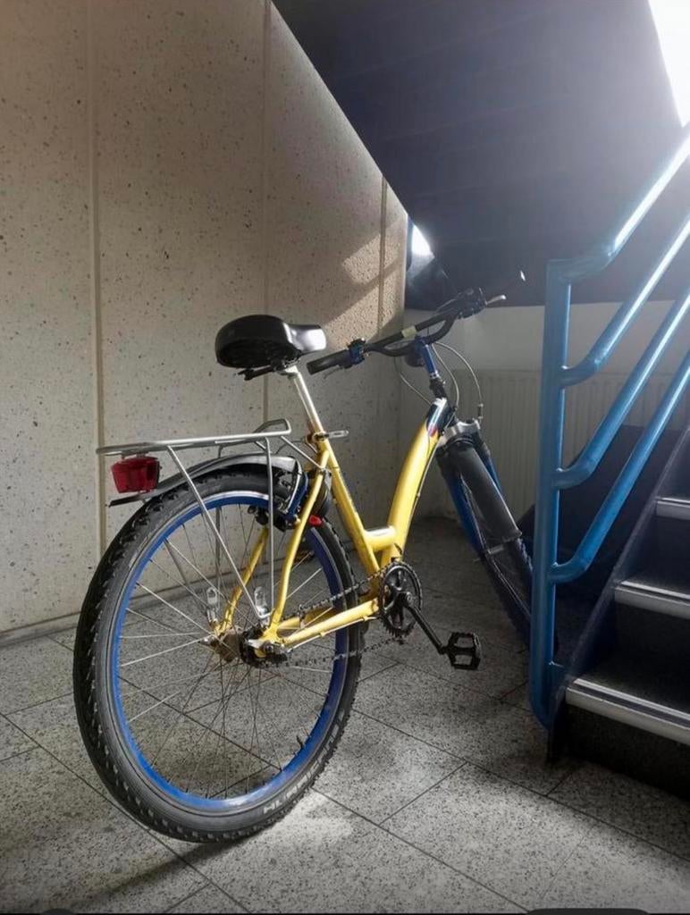 Bicycle, Fietsen en Brommers, Ophalen, Zo goed als nieuw, Staal