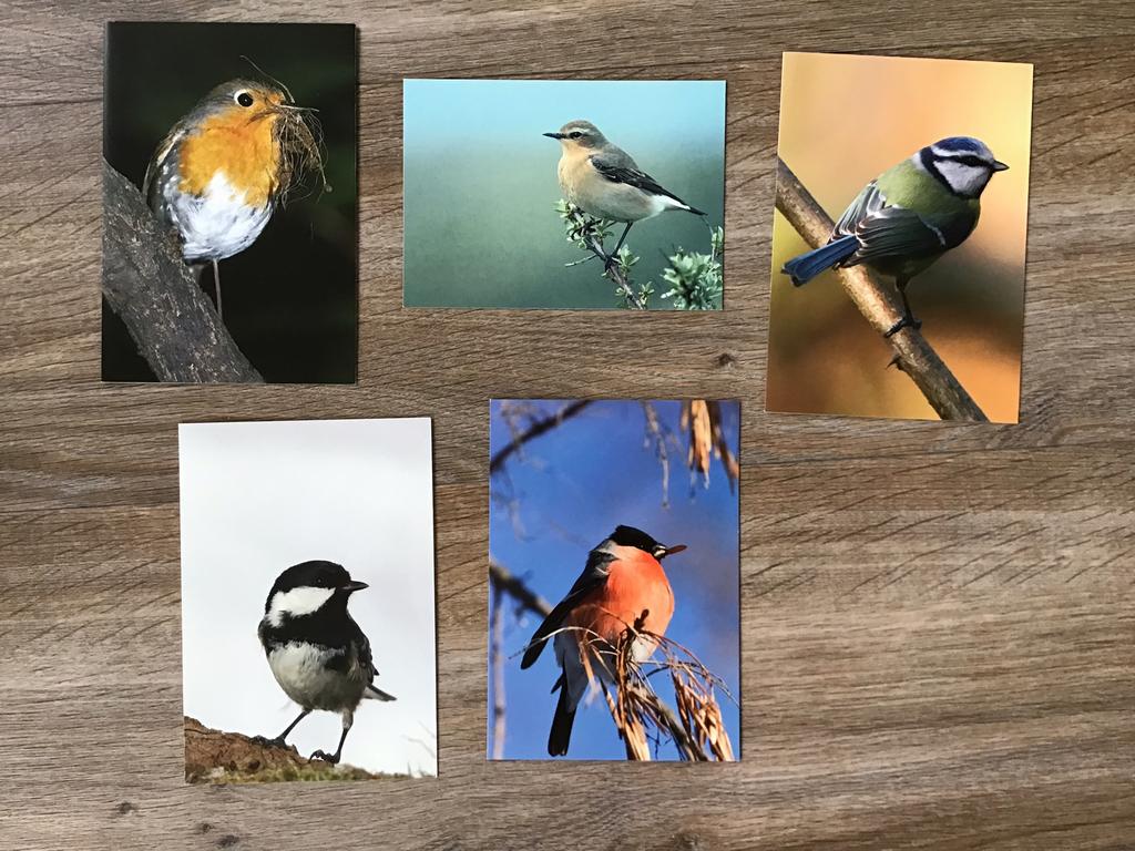 Vogel kaarten ., Dieren en Toebehoren, Mannelijk
