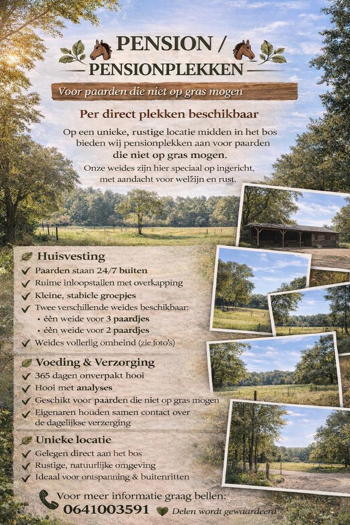 PENSIONPLEKKEN VOOR PAARDEN DIE NIET OP GRAS MOGEN, Dieren en Toebehoren, Stalling en Weidegang, Weidegang
