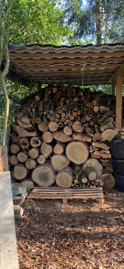 brandhout haardhout voornamelijk kers en wat mix, Tuin en Terras, Haardhout, 3 tot 6 m³, Ophalen, Overige houtsoorten, Stammen