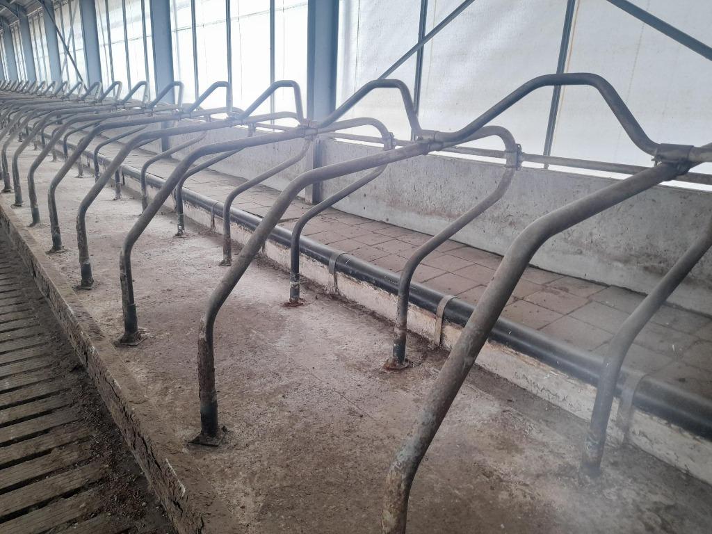 90 diepstrooisel ligboxen, Ophalen, Veehouderij, Stalinrichting