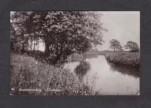 Beetsterzwaag 't Ouddiep 1964., Ophalen of Verzenden, 1960 tot 1980, Gelopen, Friesland