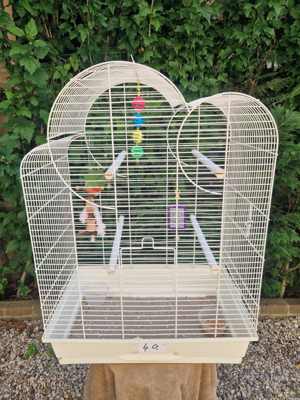 vogelkooi kooi volière agapornissen, Ophalen of Verzenden, Zo goed als nieuw, Metaal, Vogelkooi
