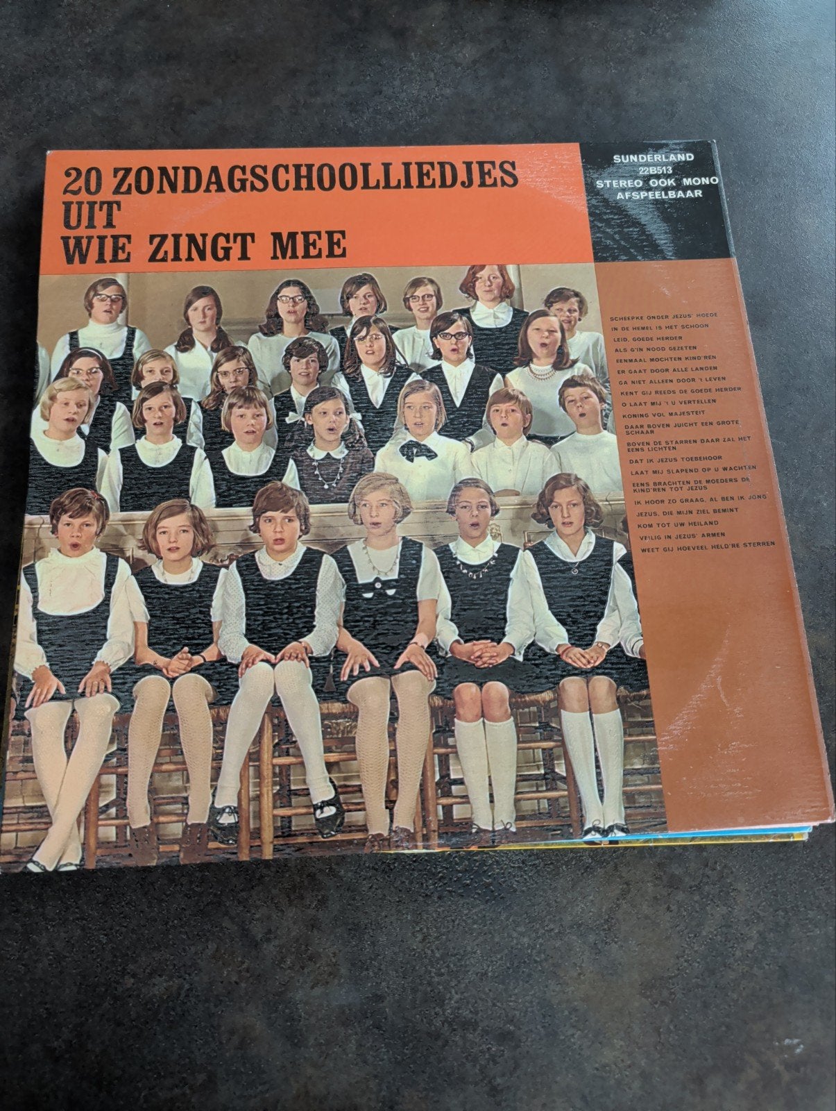 20 Zondagsschoolliedjes uit Wie Zingt Mee LP, Ophalen of Verzenden, Gebruikt, Overige genres, Album