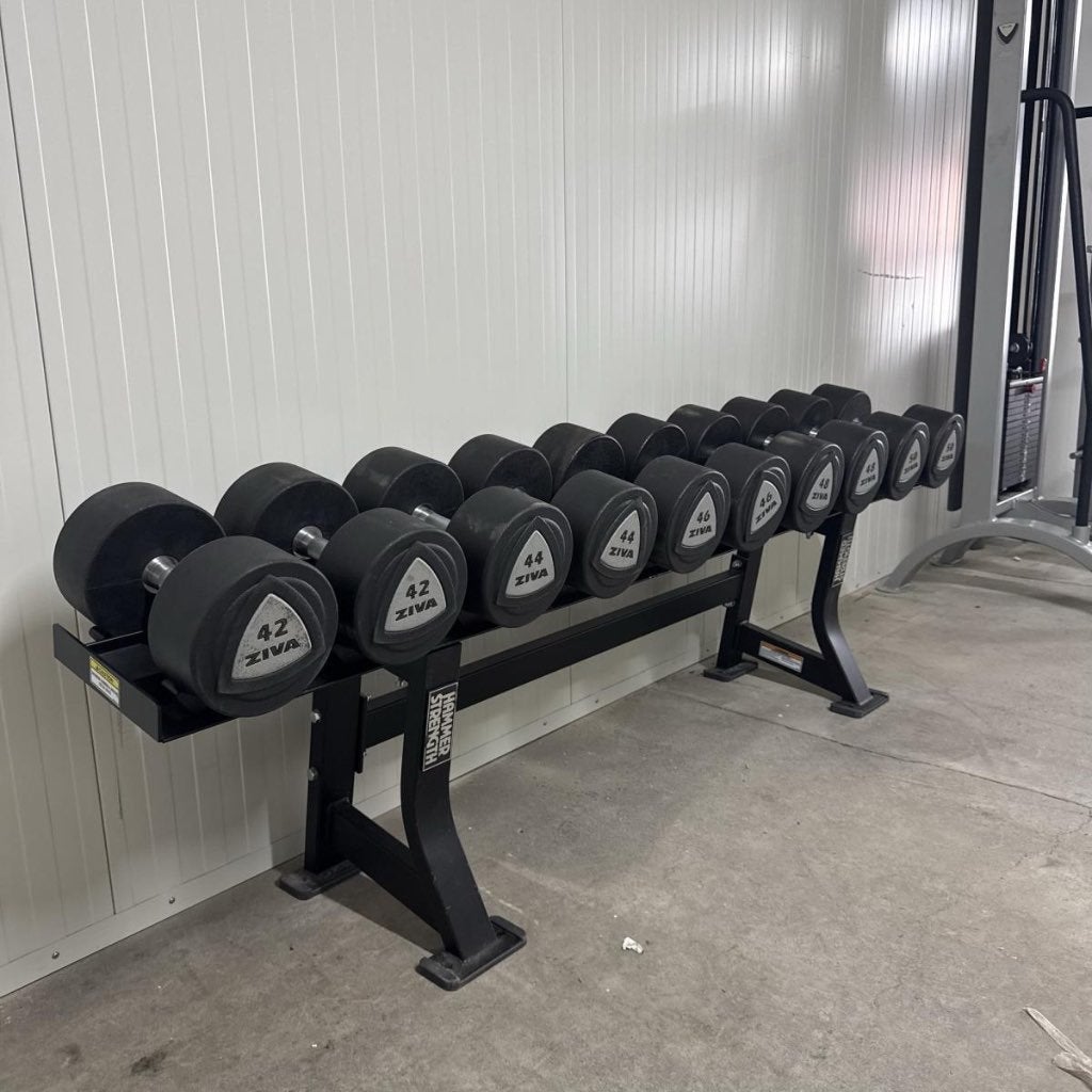Hammer Strength Dumbellrek + Ziva Dumbells 42 t/m 50 kg, Dumbbell, Gebruikt, -, -