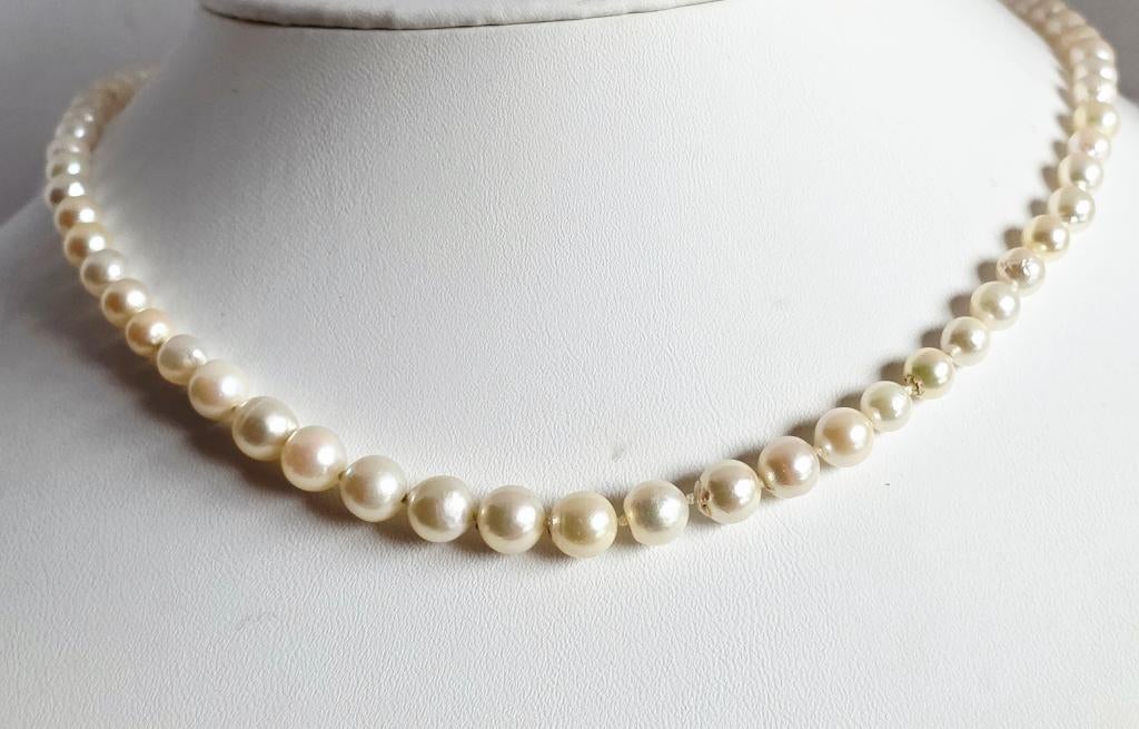 Akoya parels collier met gouden slot, Ophalen of Verzenden, Goud, Ketting