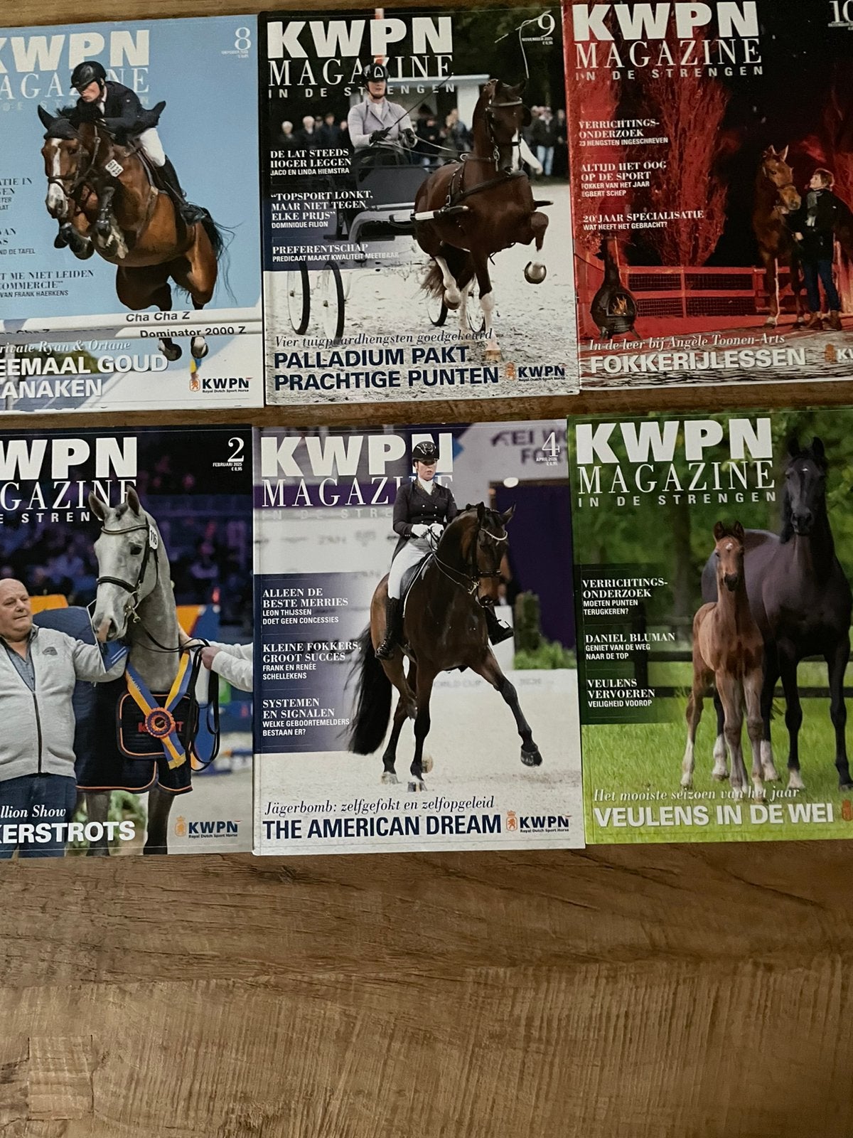 10 KWPN ‘S, Ophalen of Verzenden, Nieuw, Sport en Vrije tijd