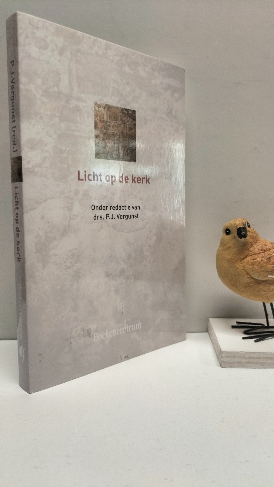 Vergunst, Drs. P.J.; Licht op de kerk, Ophalen of Verzenden, Gelezen, Christendom | Protestants