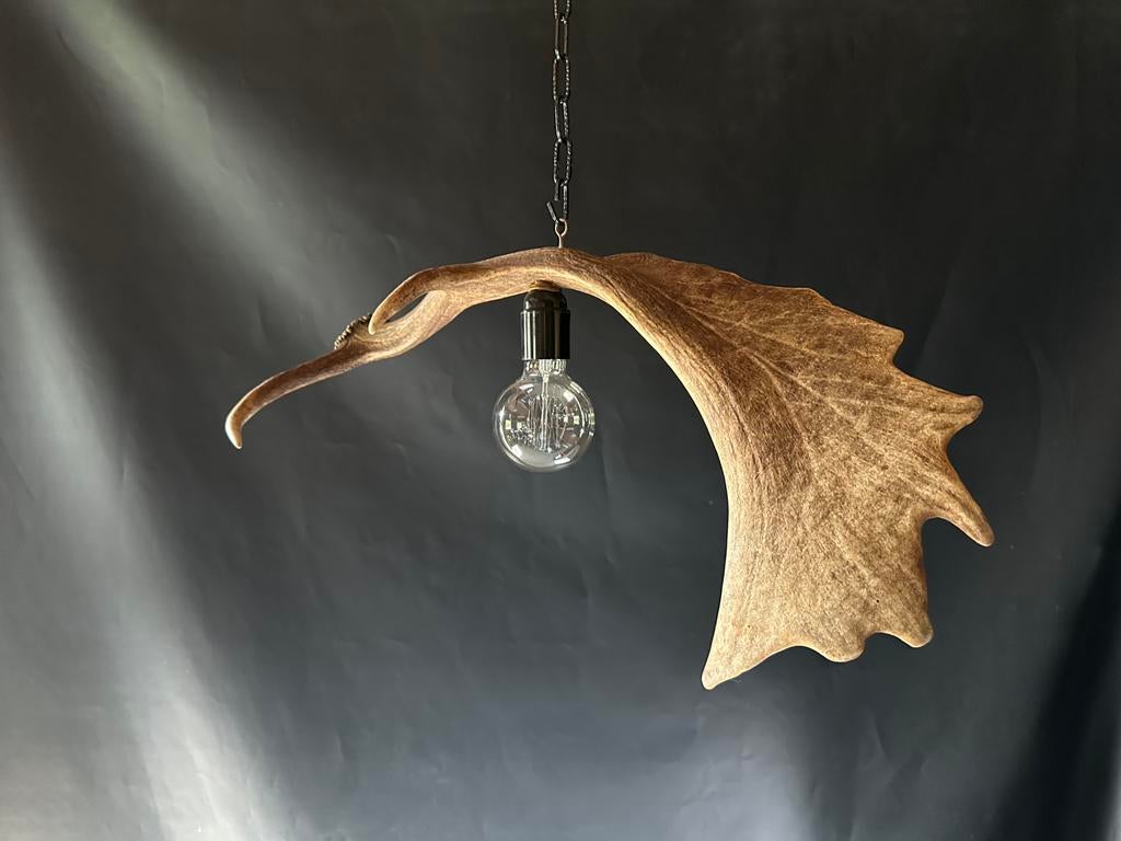 Geweienlamp.lamp.hanglamp.geweien.edelhert.damhert.brocante, Ophalen of Verzenden, Nieuw, 50 tot 75 cm