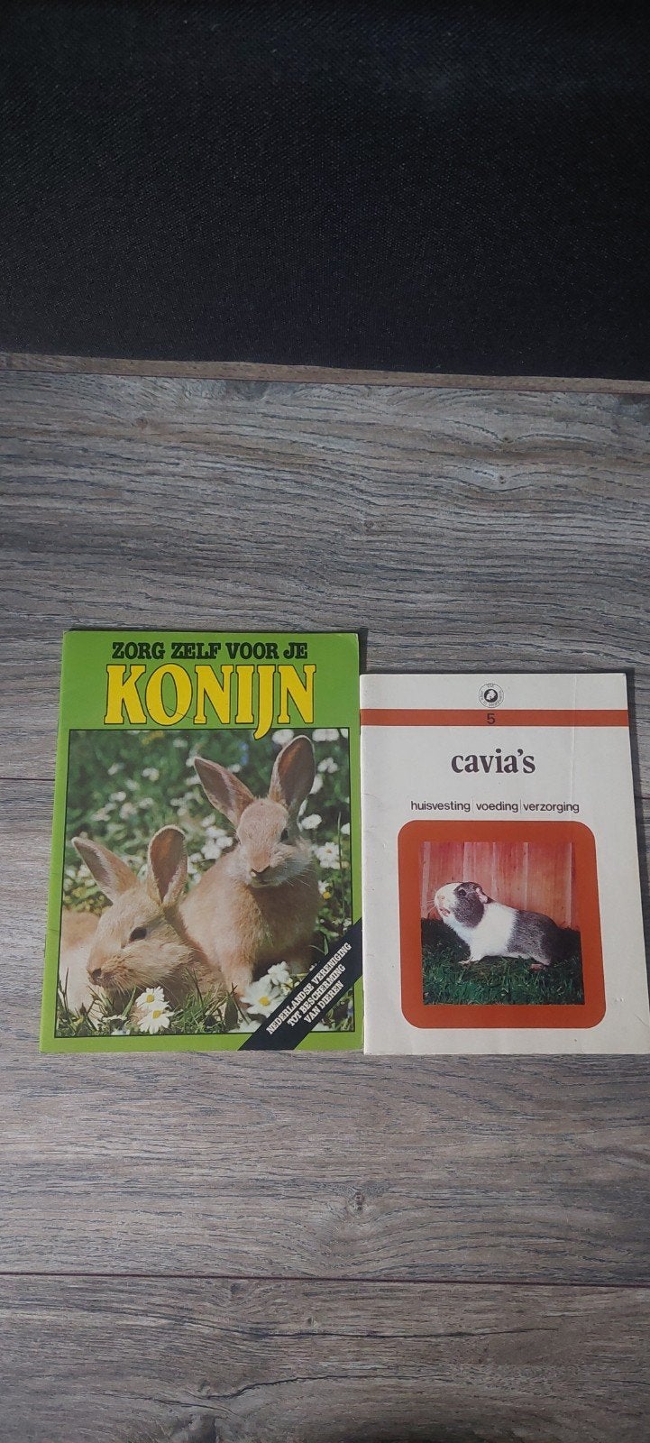 Boeken over konijnen en cavia's - Zorg en huisvesting, Boeken, Ophalen of Verzenden, Zo goed als nieuw, Konijnen of Knaagdieren