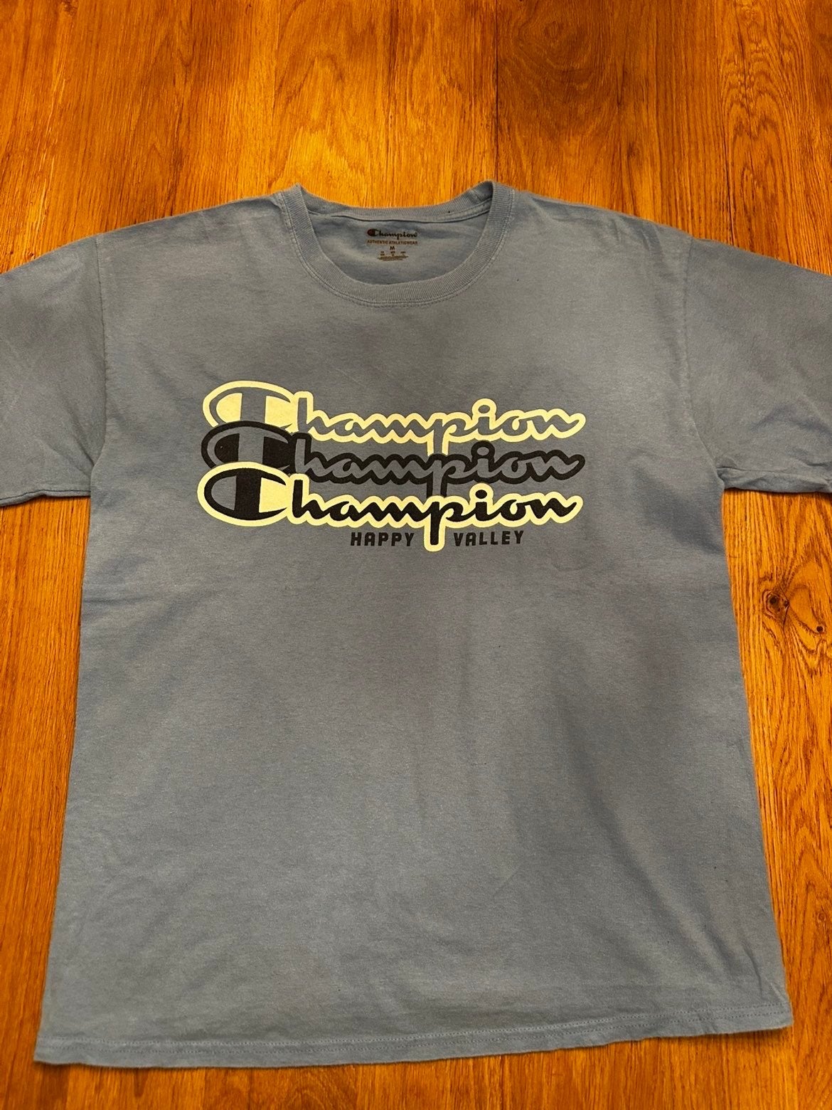 Champion T-shirt Happy Valley Maat M, Ophalen of Verzenden, Zo goed als nieuw, Maat 48/50 (M), Blauw