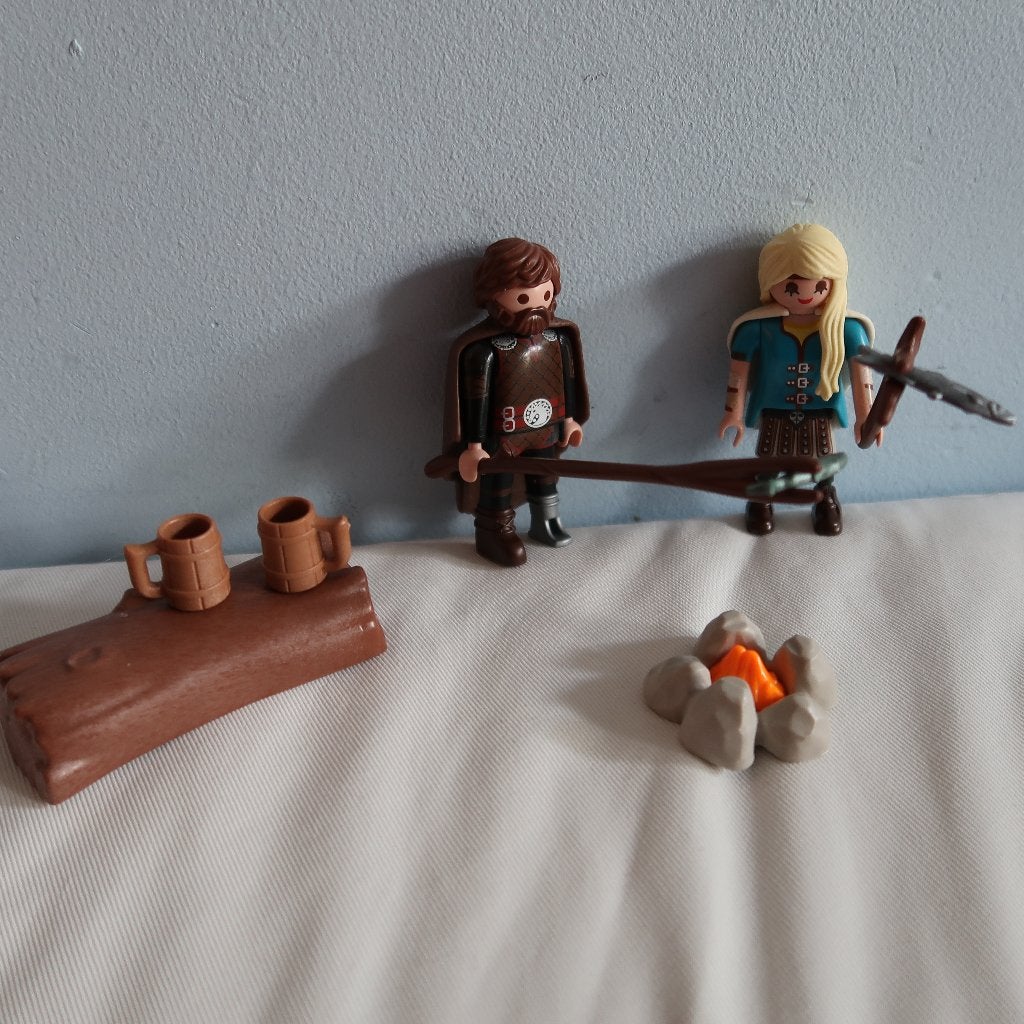 Deel van Playmobil set: Hoe tem je een draak, Ophalen of Verzenden, Zo goed als nieuw