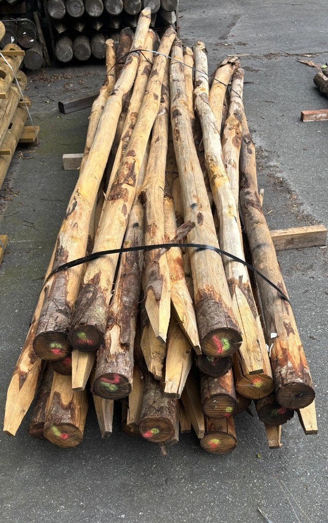 Kastanje, geschild, gepunt Ø9cm 300cm nr. 746, Tuin en Terras, Palen, Balken en Planken, Ophalen, Zo goed als nieuw, 250 cm of meer