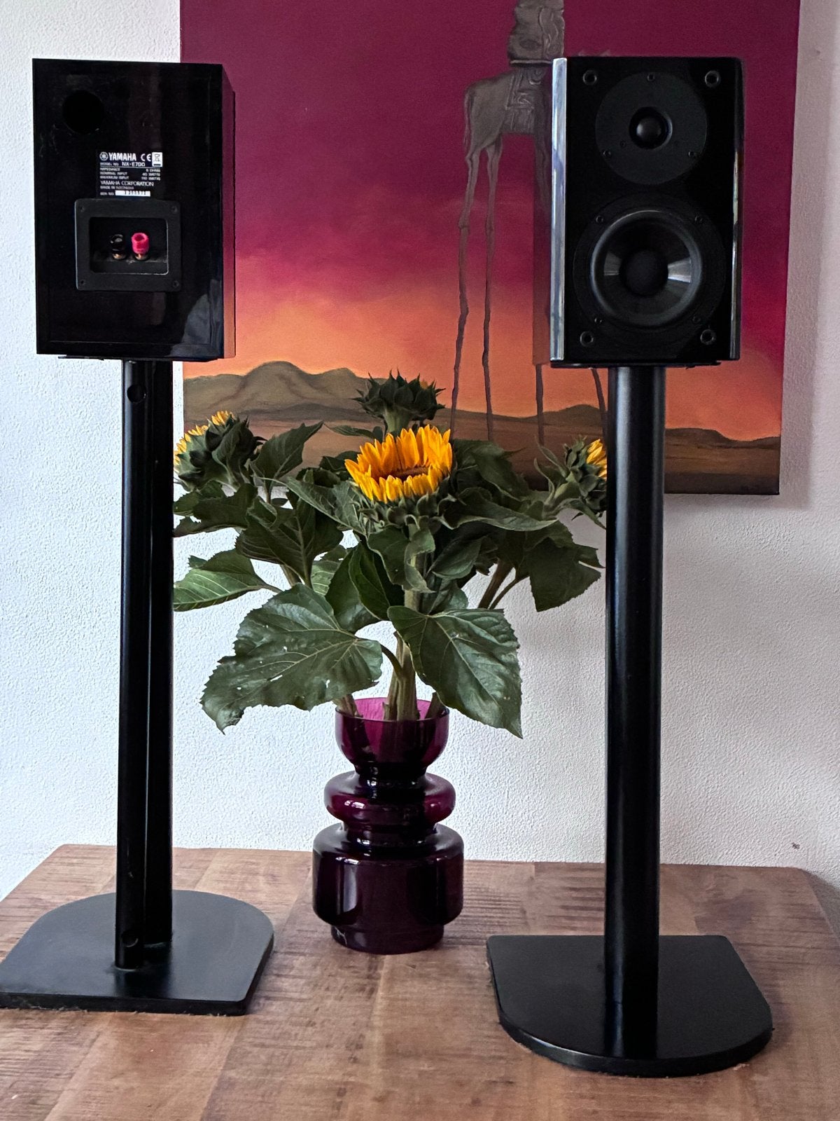 Yamaha NX-E700 Boekenplank Luidsprekers (Set van 2), Ophalen, Gebruikt, Yamaha, 60 tot 120 watt