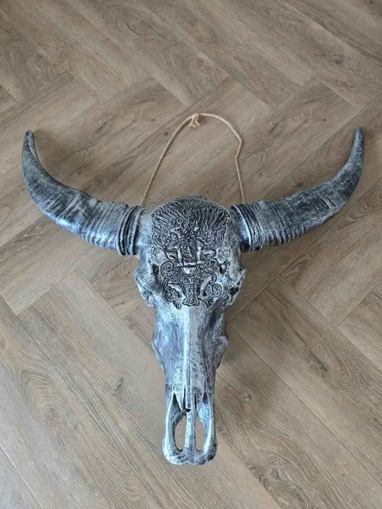 Prachtige decoratieve buffel schedel / skull, Ophalen
