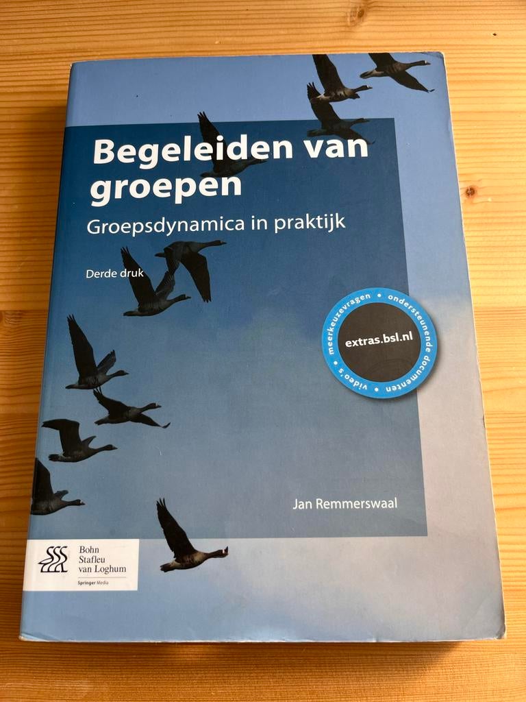 Begeleiden van groepen - Groepsdynamica in praktijk, Ophalen of Verzenden, Gelezen