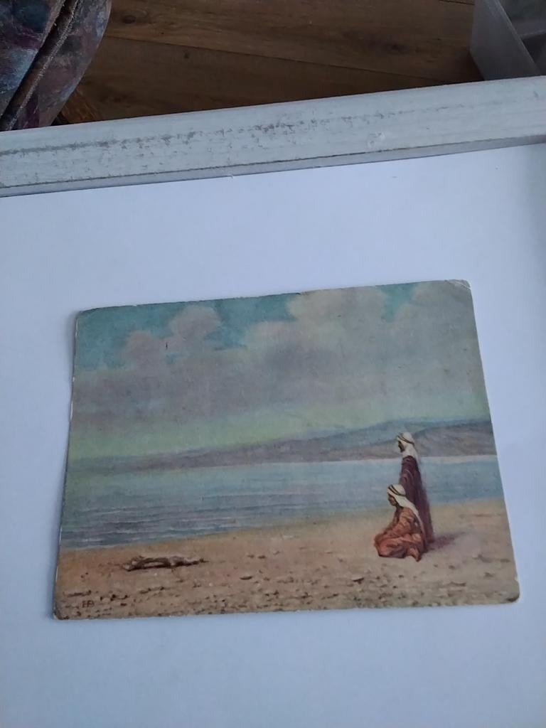 AAN DE DOODE ZEE, Ophalen of Verzenden, Voor 1920