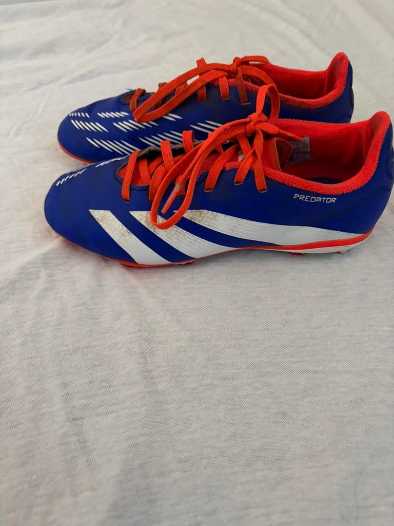 Adidas predator voetbalschoen maat 36, Ophalen of Verzenden, Jongen of Meisje, Schoenen
