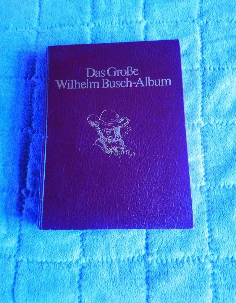 Wilhelm Busch, Boeken, Ophalen of Verzenden, Zo goed als nieuw, Wilhelm Busch, Verhalen