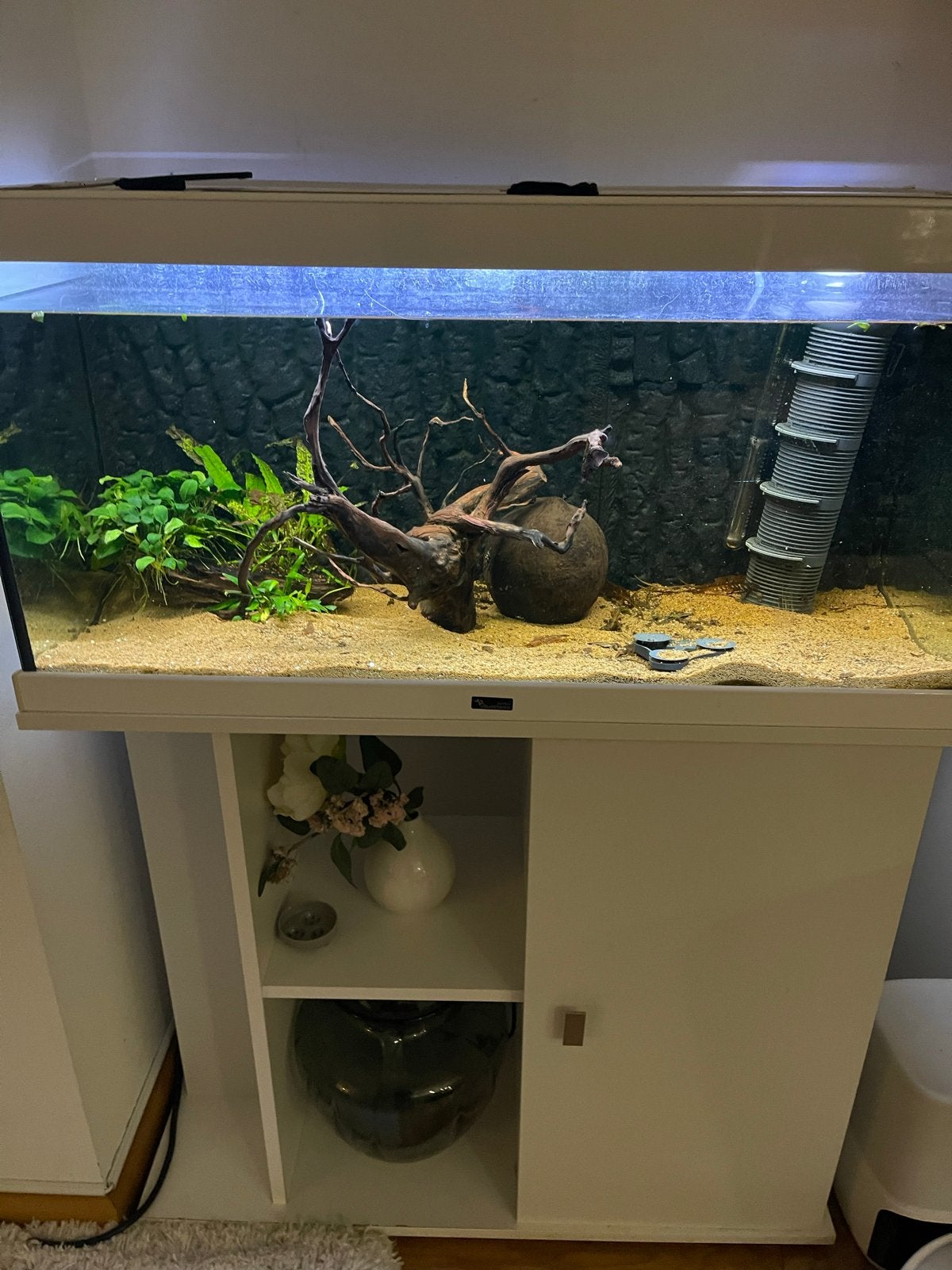 Aquarium compleet te koop, Ophalen