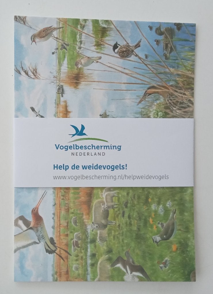 Vogelbescherming anzichtkaarten, nieuw, Verzamelen, Verzenden, 1980 tot heden, Vogel