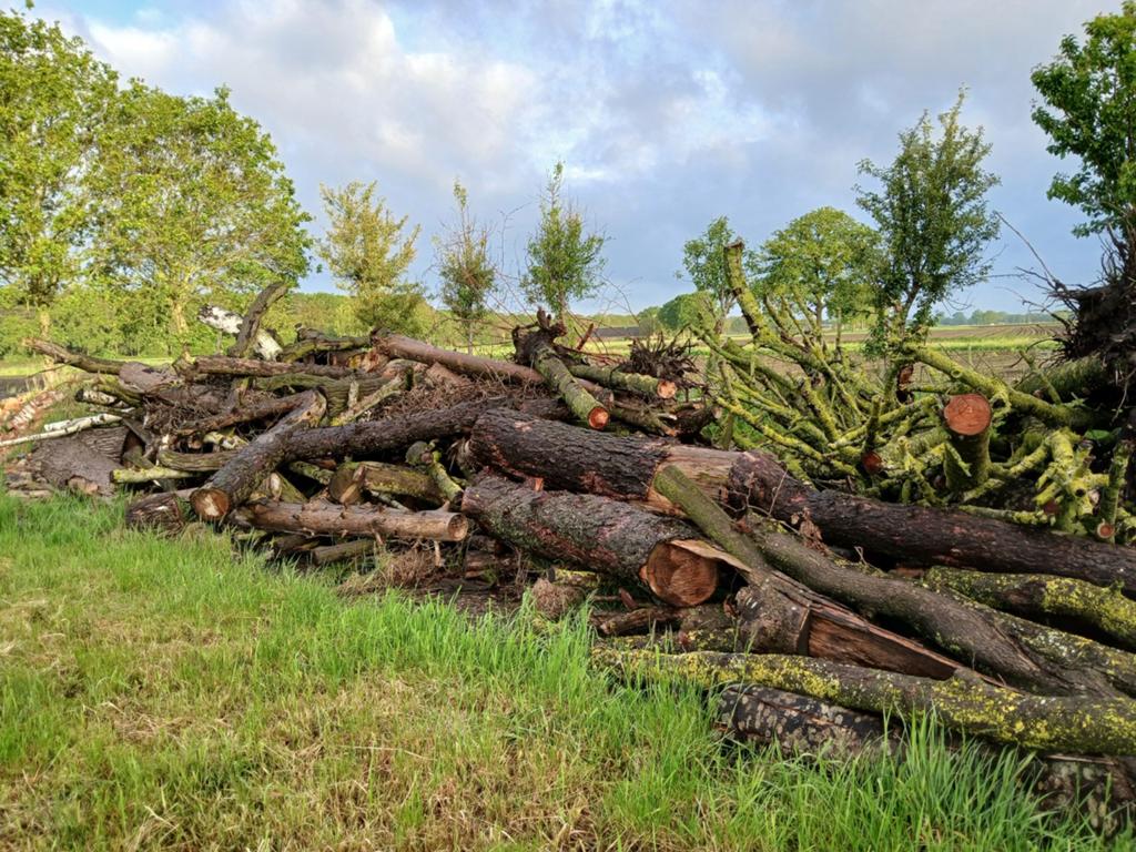 Stookhout, Tuin en Terras, 6 m³ of meer, Ophalen, Overige houtsoorten, Stammen
