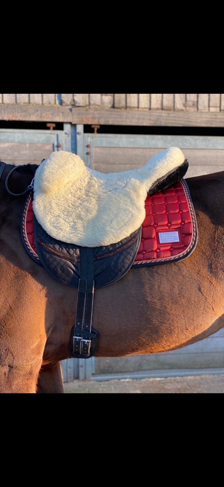 FRA barebackpad, Cob (M), Ophalen of Verzenden, Gebruikt, Wit