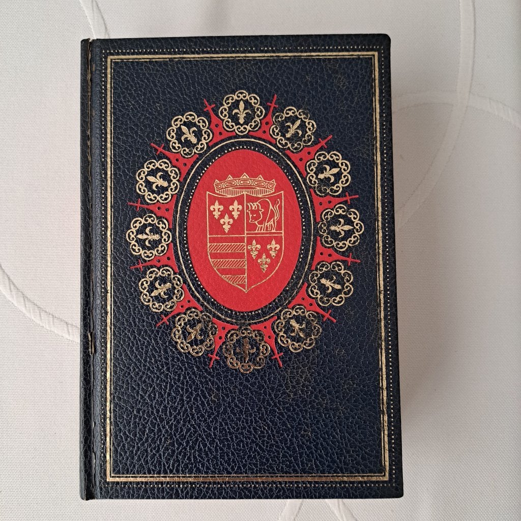Liefde en verraad rond Lucrezia Borgia / roman uit 15e eeuw., Ophalen of Verzenden, Gelezen