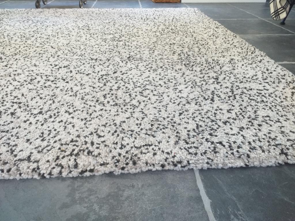 vloerkleed, Huis en Inrichting, Stoffering | Tapijten en Kleden, Ophalen, Modern, rustig niet aandacht vragend., 200 cm of meer