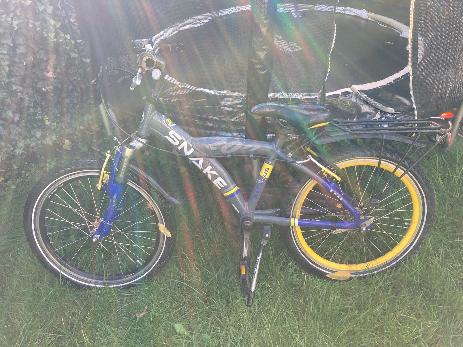 Batavus Snake 20 inch, Ophalen, Gebruikt, 20 inch of meer