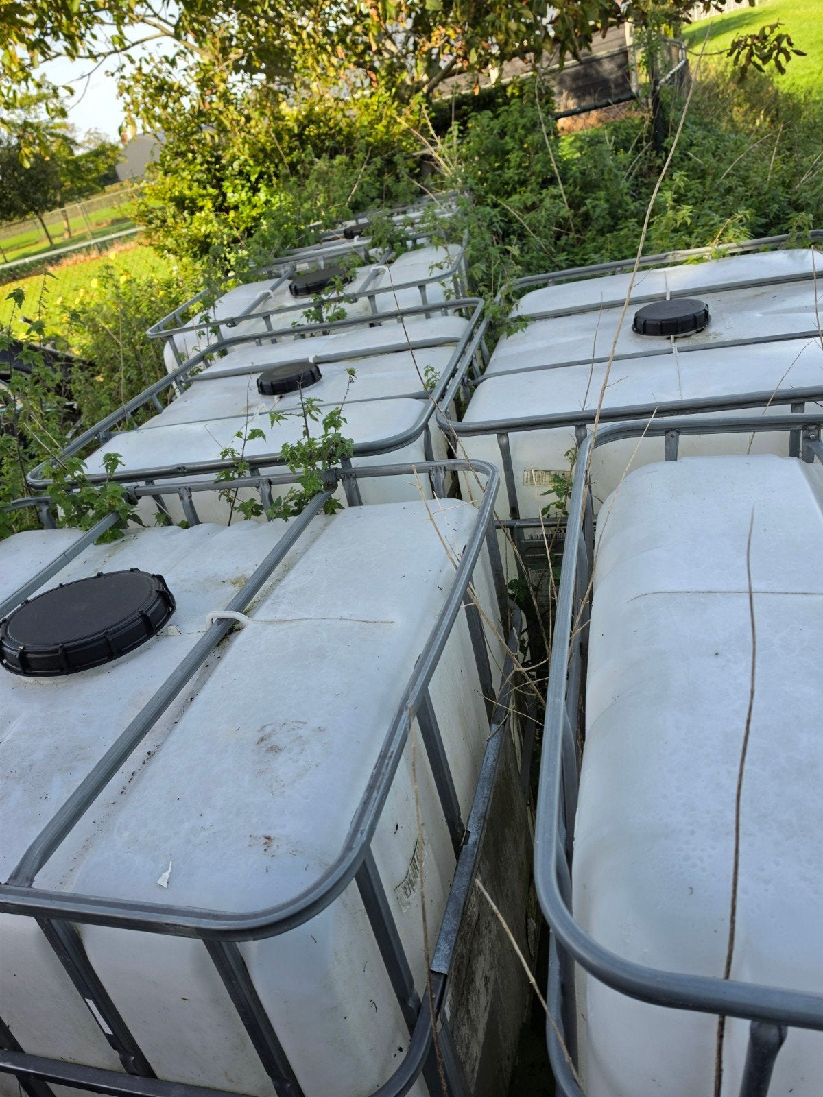 IBC-containers (1000 liter) - Ideaal voor wateropslag, 150 liter of meer, Ophalen
