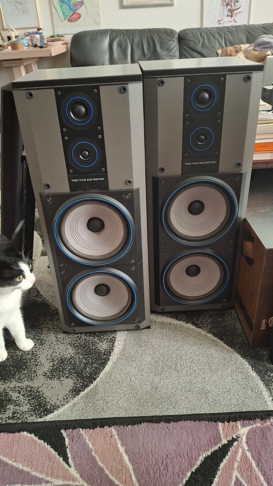 FB565 Philips, Audio, Tv en Foto, Ophalen, Minder dan 60 watt, Philips