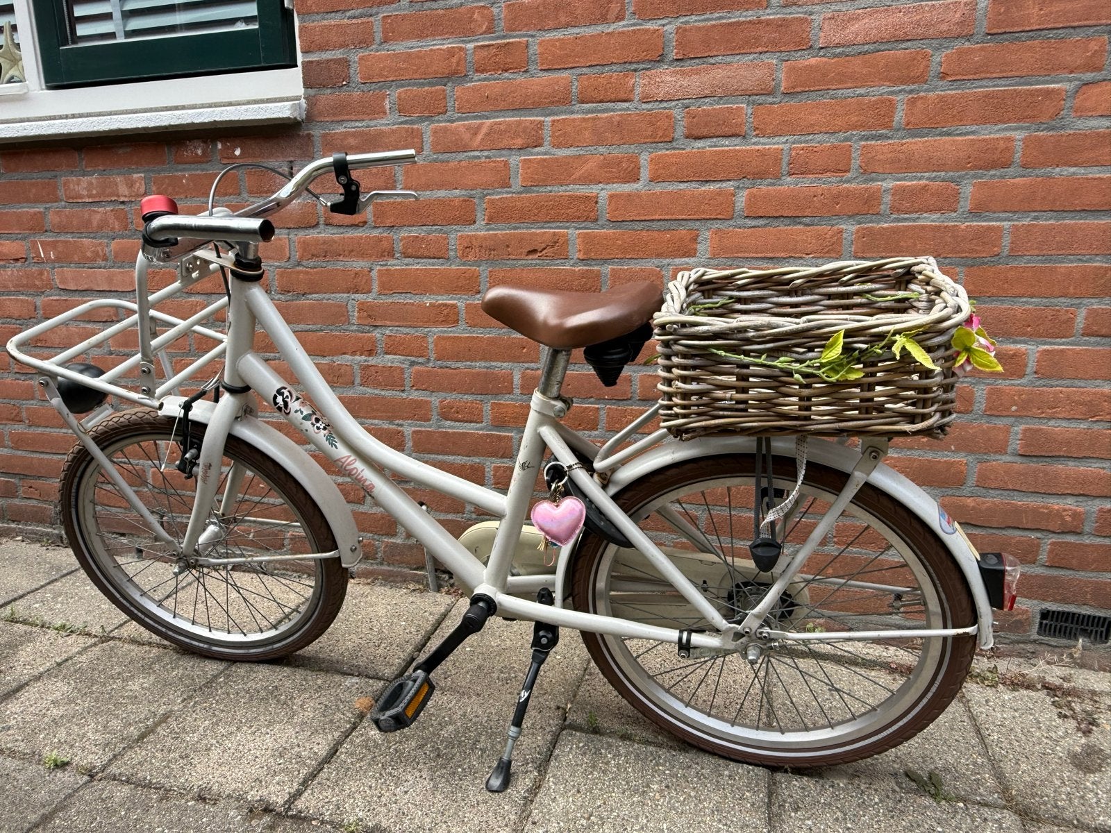 Alpina fiets 20 inch met mandje en voordrager, Ophalen, Gebruikt, Velgrem, Handrem