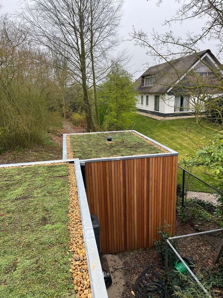Sedum matten en trays voor groendaken, Tuin en Terras, Ophalen of Verzenden, Nieuw, Gras