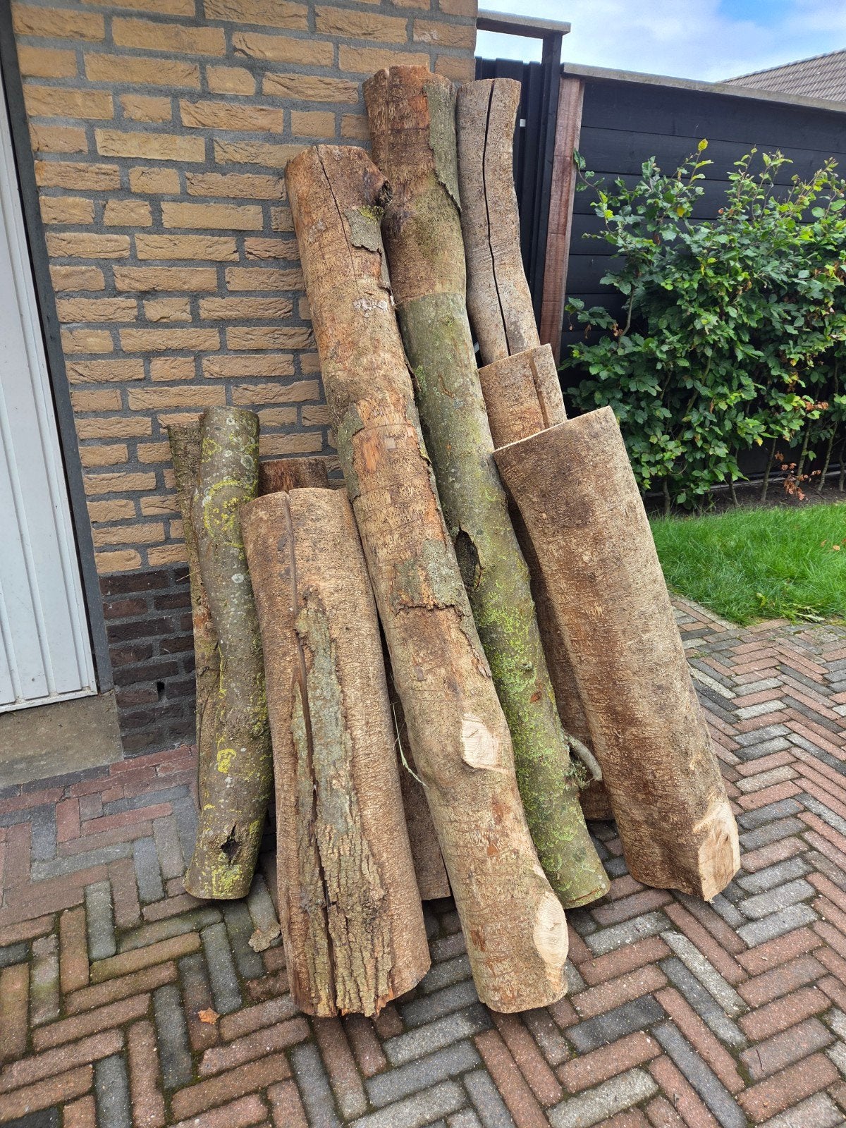 Essen stammen, Minder dan 3 m³, Ophalen, Essenhout, Stammen