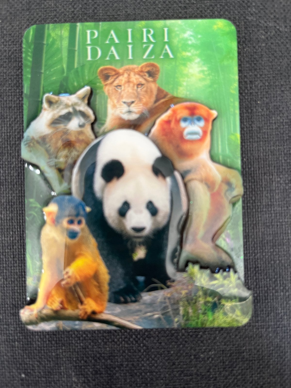 Pairi Daiza magneet met diverse dieren, Ophalen of Verzenden, Zo goed als nieuw, Wild dier, Overige typen