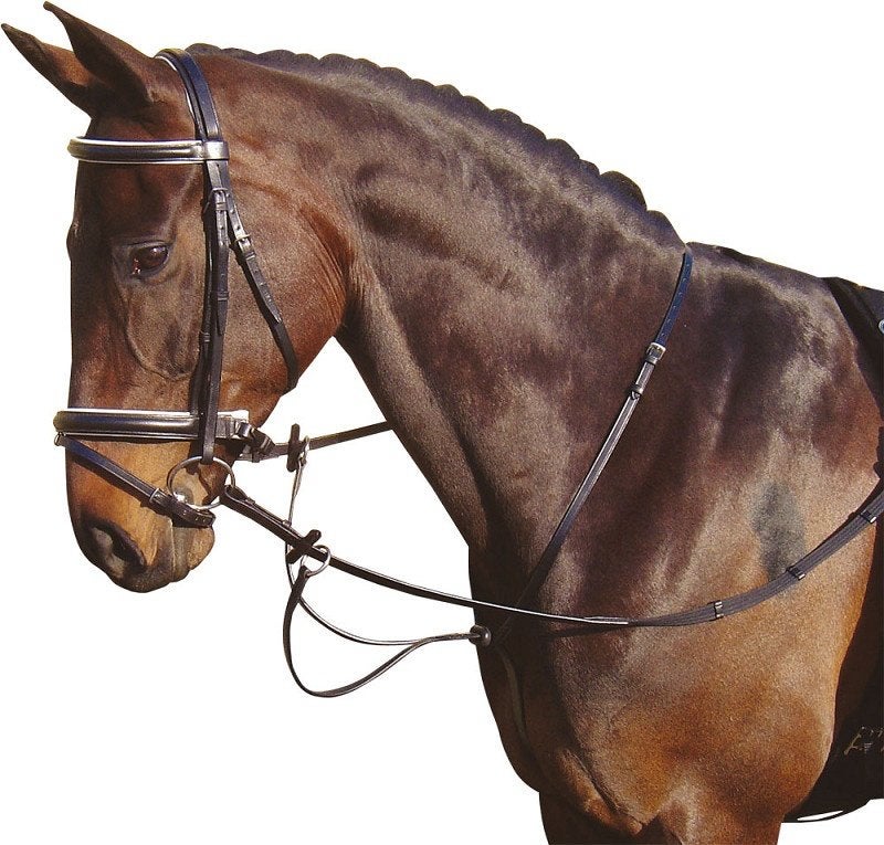 Harry's Horse Martingaal Zwart, Cob en Full, Dieren en Toebehoren, Harry's Horse, Nieuw, Ophalen of Verzenden, Zwart