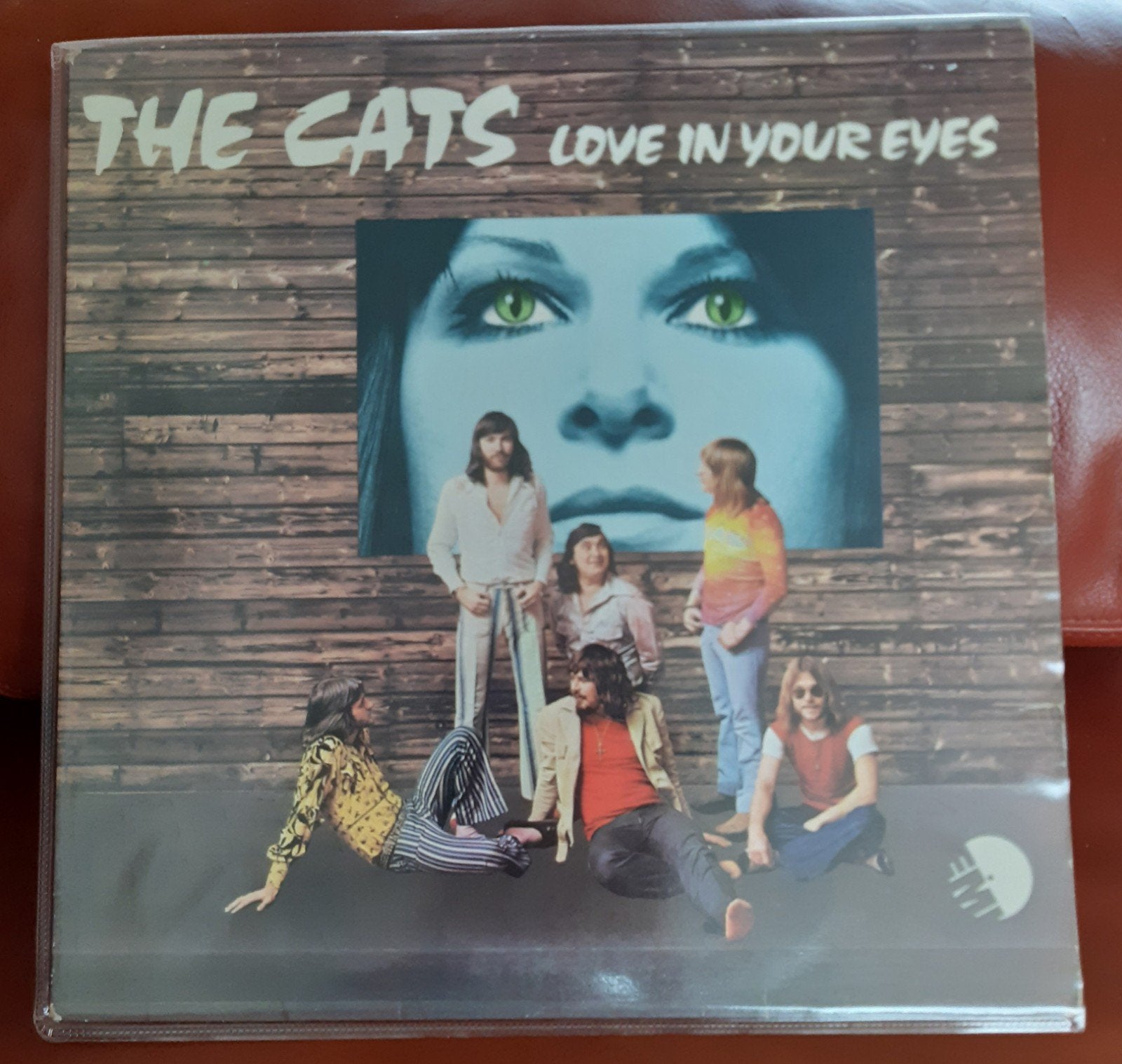 LP The Cats - Love in your eyes, Ophalen, Gebruikt, 12 inch, Levenslied of Smartlap