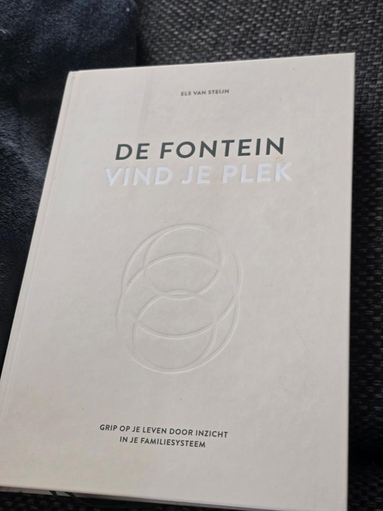 De fontein vind je plek -  Els van Steijn., Ophalen of Verzenden, Zo goed als nieuw