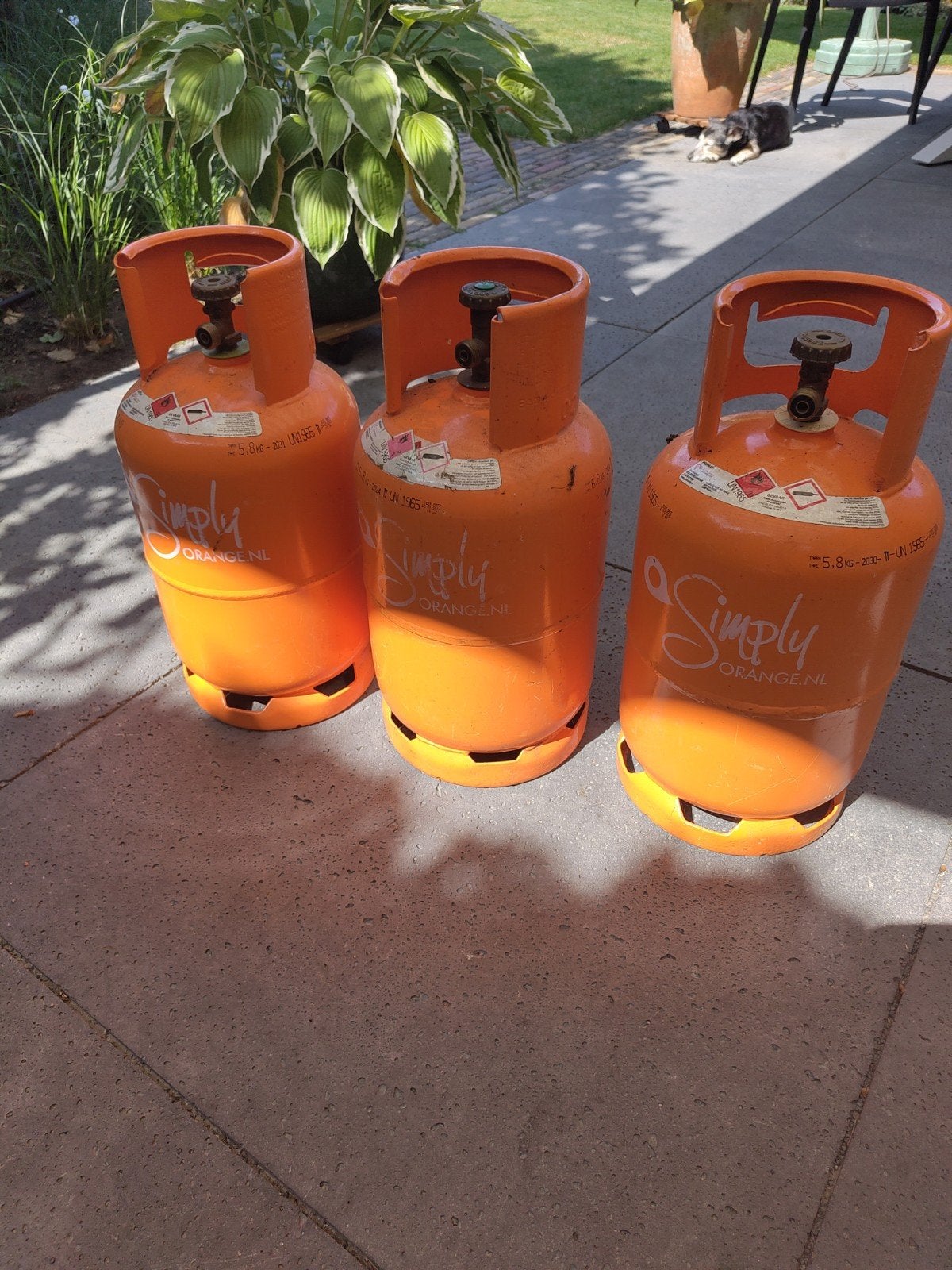 3x Simply Orange gasflessen 5.8kg (leeg), prijs per stuk, Ophalen, Gebruikt, Simply Orange