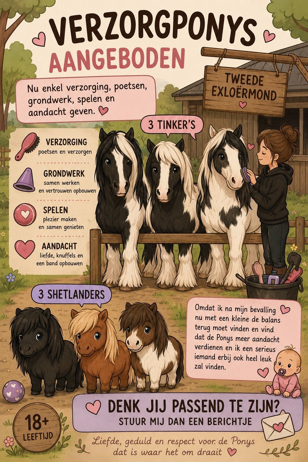 Verzorgpony tinker's en shetlanders, Dieren en Toebehoren, Ophalen of Verzenden