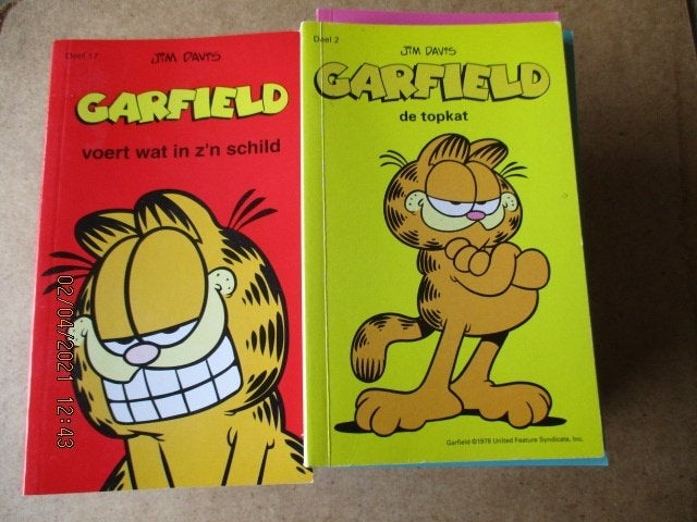 adv0662 garfield kleuren pocket, Eén stripboek, Ophalen, Gelezen