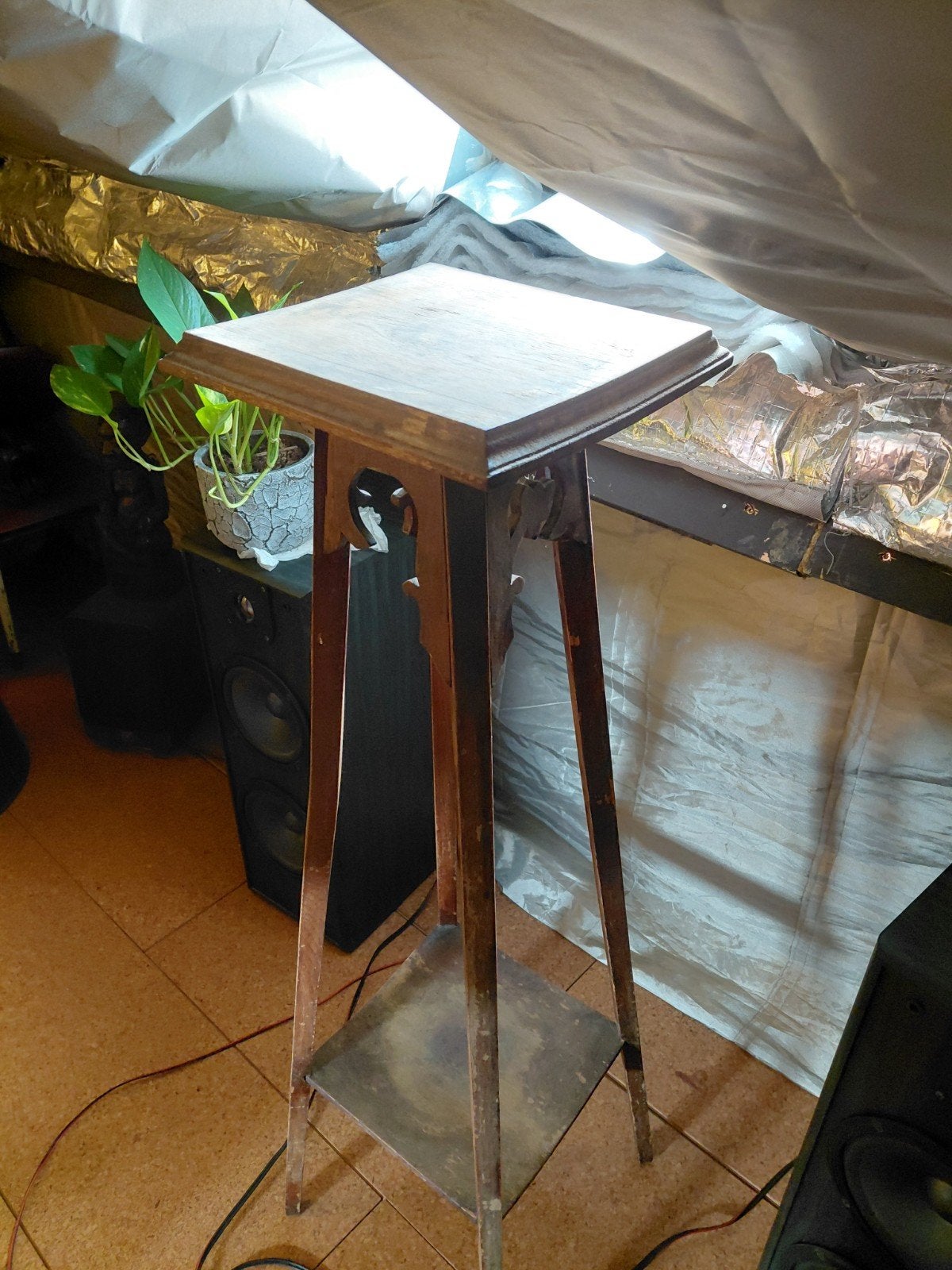 Authentieke antieke Art Nouveau / Jugendstil plantentafel, Ophalen