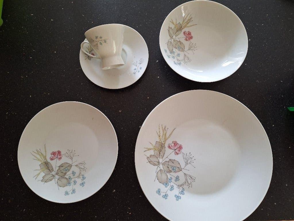 1 persoons servies van Rosenthal group Classic rose, Ophalen, Overige merken, Overige typen, Zo goed als nieuw
