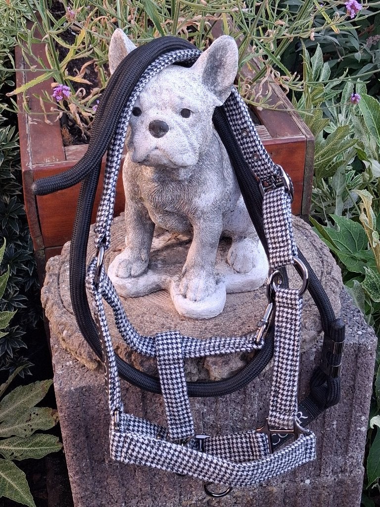 Halster set Pony splinternieuw Harcour, Ophalen of Verzenden, BR, Halster, Pony